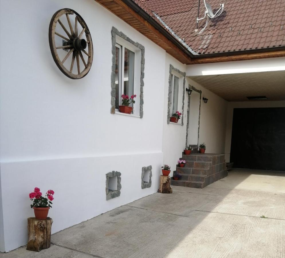 Borlova /Muntele Mic Hotel Kültér fotó