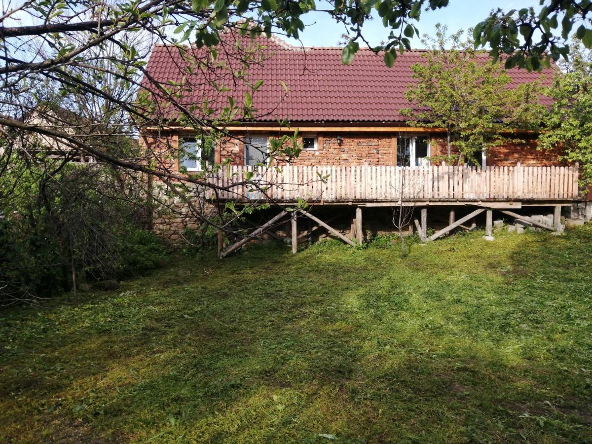 Borlova /Muntele Mic Hotel Kültér fotó