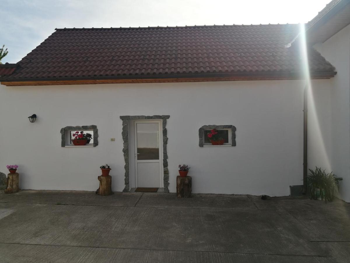Borlova /Muntele Mic Hotel Kültér fotó