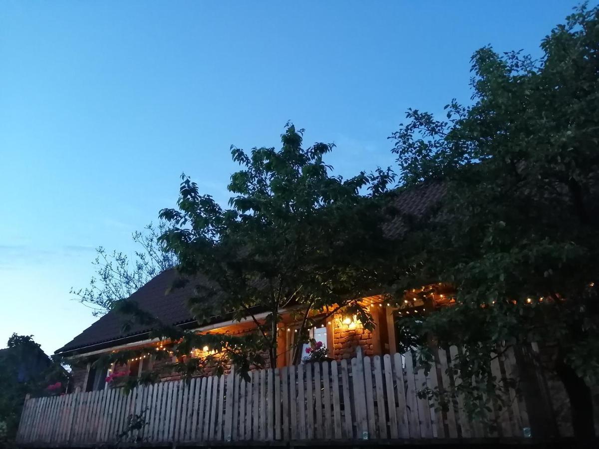 Borlova /Muntele Mic Hotel Kültér fotó
