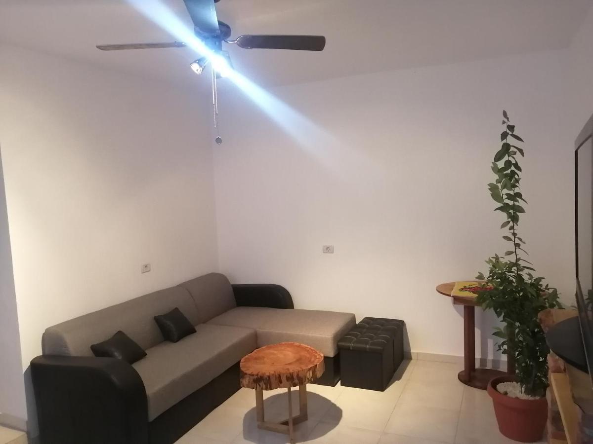 Borlova /Muntele Mic Hotel Kültér fotó