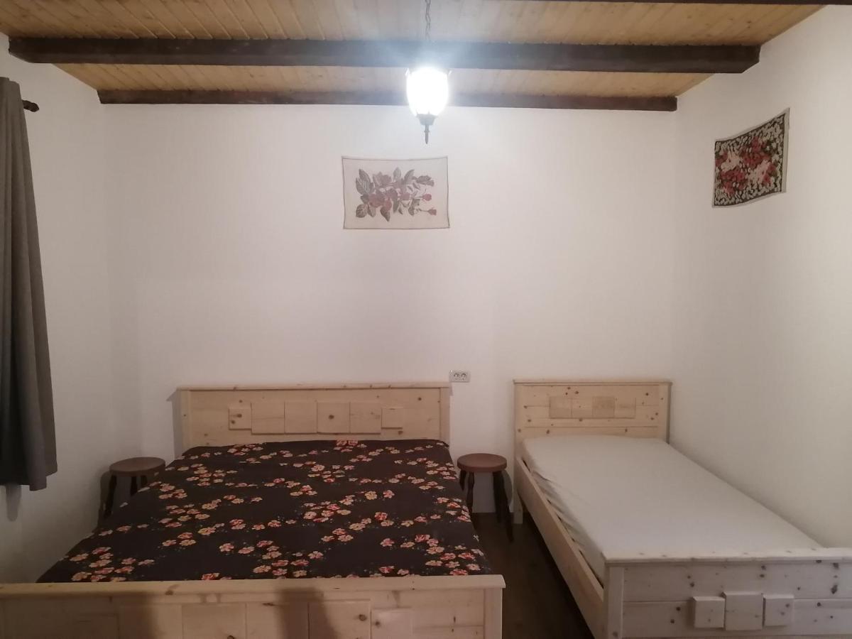 Borlova /Muntele Mic Hotel Kültér fotó