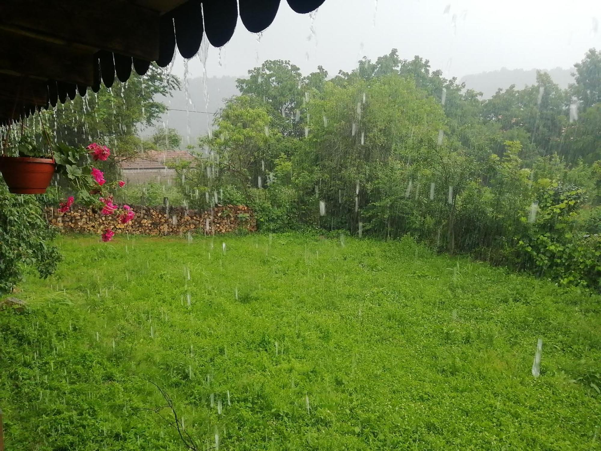Borlova /Muntele Mic Hotel Kültér fotó